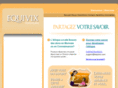 equivix.com