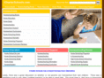 freecharterschool.com