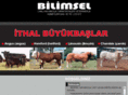 holsteininek.com