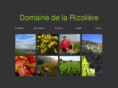 larizoliere.com