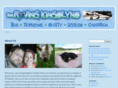 rovingkingslyns.com