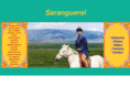 saranguerel.com