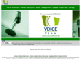 voice-team.com