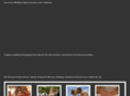 dominicanwedding.com