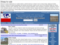 sheepforsale.net