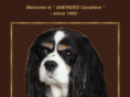 aneridee.com