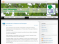 avvmorera.com