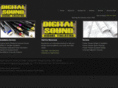 dsssound.com