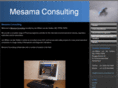 mesama-consulting.com
