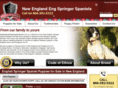 newenglandengspringerspaniels.com