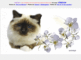 sacredebirmanie-elysion.com