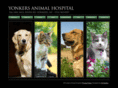 yonkersanimalhospital.com