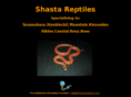 shastareptiles.com