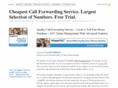 callforwardingservice.net