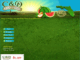 cdproduce.com