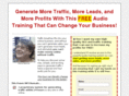 newtraffictowebsite.com