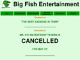 bigfishkjdj.com