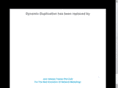 dynamicduplication.com