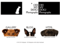 ohmydogphoto.com
