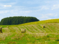smwr.de