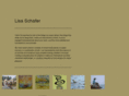 lisaschafer.com