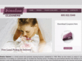 sinaloacleaners.com