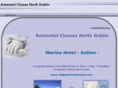 1dayantenatalclass.com