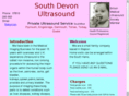 babyscan-devon.com