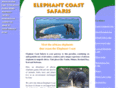 elephantcoast.net