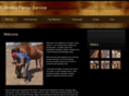 sbrooksfarrierservice.com