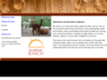 sunrise-ranch.net