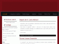 metzcapitale.com