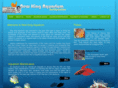 newkingaquarium.com