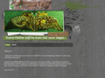 prairiefeather.com