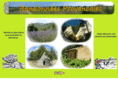randoprovence.org