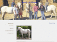 santacruzhorses.com