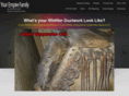 whittierairducts.com