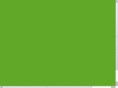 tennishamptons.com