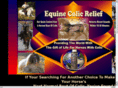 equinecolicrelief.net