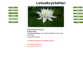 lotuskrystallen.com