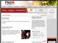 pngminingandenergy.net