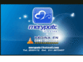 fiestasmerypatc.com