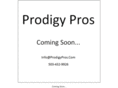 prodigypros.com