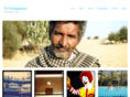 tsperspective.com