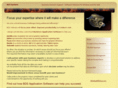bdssys.com