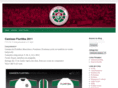 fluritiba.com