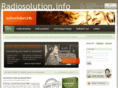 informatiquedbb.com