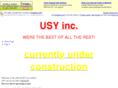 usyinciscool.com