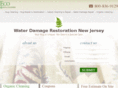 waterdamagerestorationnewjersey.com