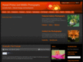 anitaharris.com